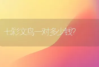 七彩文鸟一对多少钱？