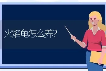 家有小孩子可以在室内养兔子吗？