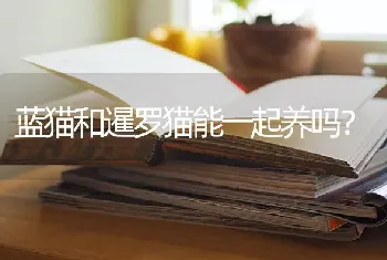 狗狗可以给改名字吗？