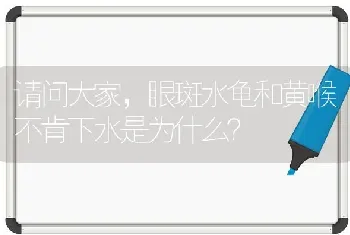 请问大家，眼斑水龟和黄喉不肯下水是为什么？