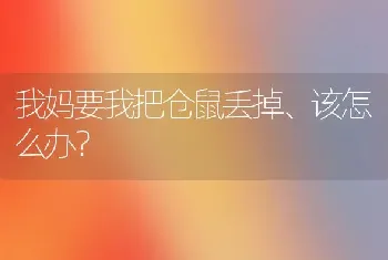 我妈要我把仓鼠丢掉、该怎么办？