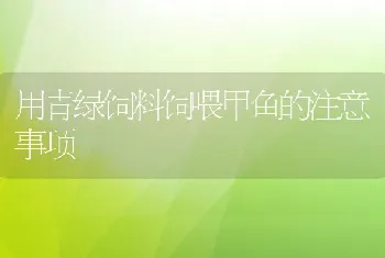 用青绿饲料饲喂甲鱼的注意事项