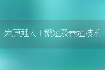 岩原鲤人工繁殖及养殖技术