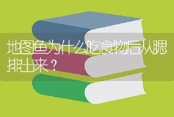 地图鱼为什么吃食物后从腮排出来？