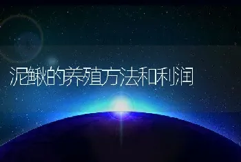 泥鳅的养殖方法和利润