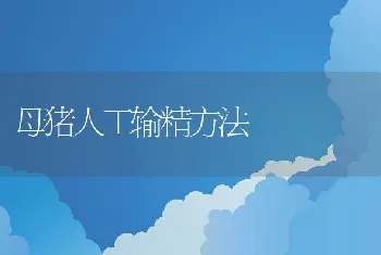 母猪人工输精方法