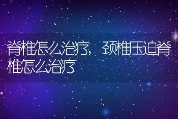 脊椎怎么治疗，颈椎压迫脊椎怎么治疗