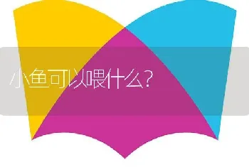 小鱼可以喂什么？