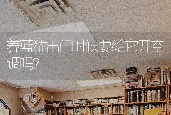 养蓝猫出门时候要给它开空调吗？