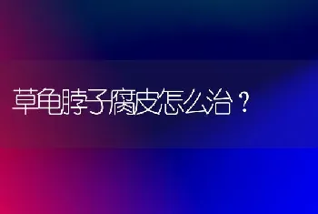 草龟脖子腐皮怎么治？