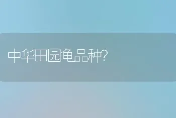 比熊犬和萨摩耶相比较的话谁更适合家养？