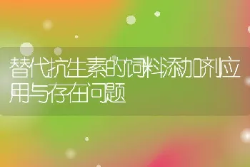 替代抗生素的饲料添加剂应用与存在问题