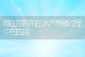 微生物制剂在水产养殖过程中的应用