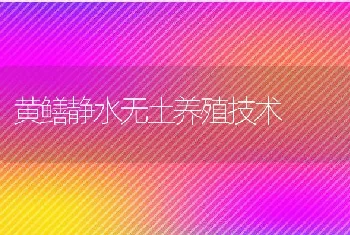 产蛋鹌鹑冬季的管理