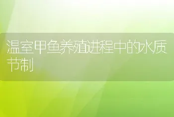 温室甲鱼养殖进程中的水质节制