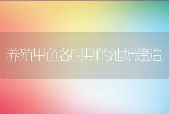 春季泥鳅花培育成功的秘密－胀气病管控