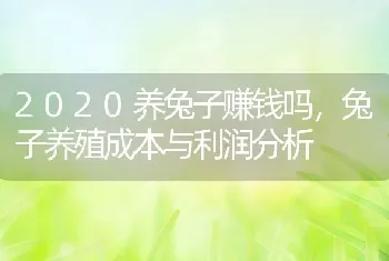 2020养兔子赚钱吗，兔子养殖成本与利润分析