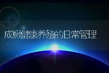 成鳅健康养殖的日常管理