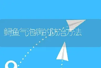 石蛙养殖池建设