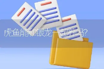 虎鱼能和银龙一起养吗？