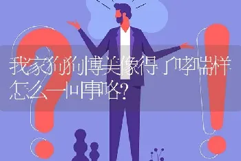 我家狗狗博美像得了哮喘样怎么一回事咯？