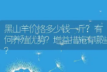 黑山羊价格多少钱一斤?有何养殖优势？增益措施有哪些？