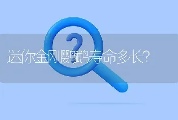 迷你金刚鹦鹉寿命多长？