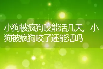 小狗被疯狗咬能活几天，小狗被疯狗咬了还能活吗