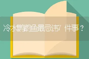 冷水鹦鹉鱼最忌讳7件事？