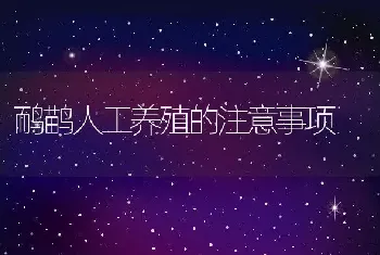 鸸鹋人工养殖的注意事项