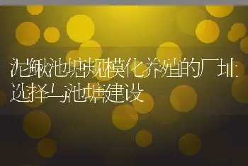 泥鳅池塘规模化养殖的厂址选择与池塘建设