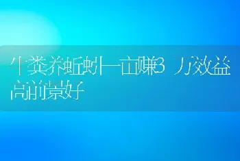 牛粪养蚯蚓一亩赚3万效益高前景好