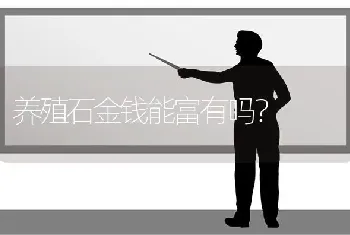 养殖石金钱能富有吗？