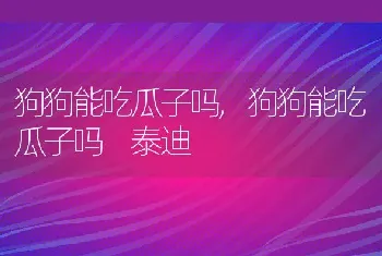 狗狗能吃瓜子吗，狗狗能吃瓜子吗 泰迪