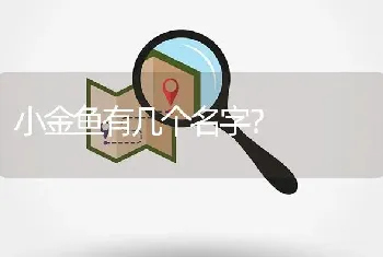 小金鱼有几个名字？