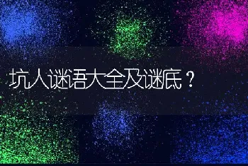 坑人谜语大全及谜底？