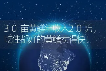 30亩黄鳝年收入20万，吃住都好的黄鳝卖得快！