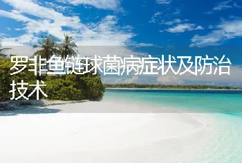 罗非鱼链球菌病症状及防治技术