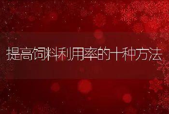 提高饲料利用率的十种方法