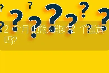 2个月比熊犬能吃2个蛋黄吗？