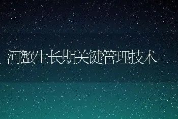 河蟹生长期关键管理技术