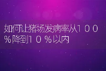 如何让猪场发病率从100%降到10%以内