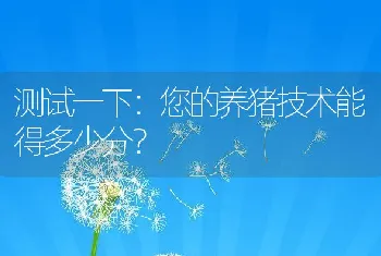 测试一下：您的养猪技术能得多少分？