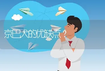 京巴犬的优缺点？