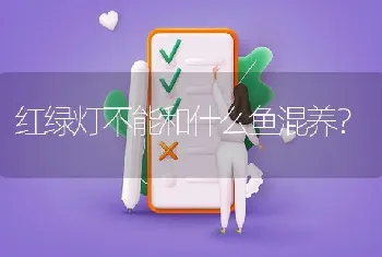 红绿灯不能和什么鱼混养？