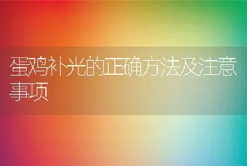 蛋鸡补光的正确方法及注意事项