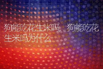 狗能吃花生米吗，狗能吃花生米吗为什么