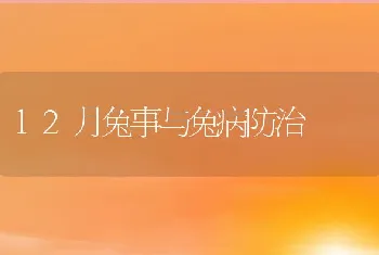 12月兔事与兔病防治