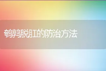 鹌鹑脱肛的防治方法