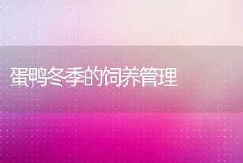 秋季肉鸽常见病的防治